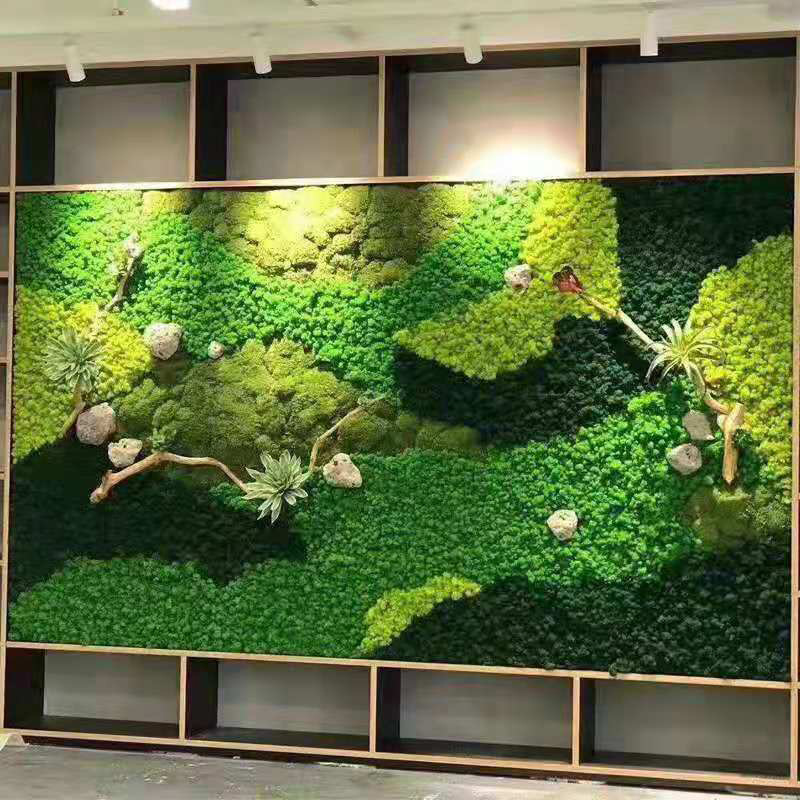 Sphagnum Moss Dry - 20g Artificial Green Moss Plants Eternal