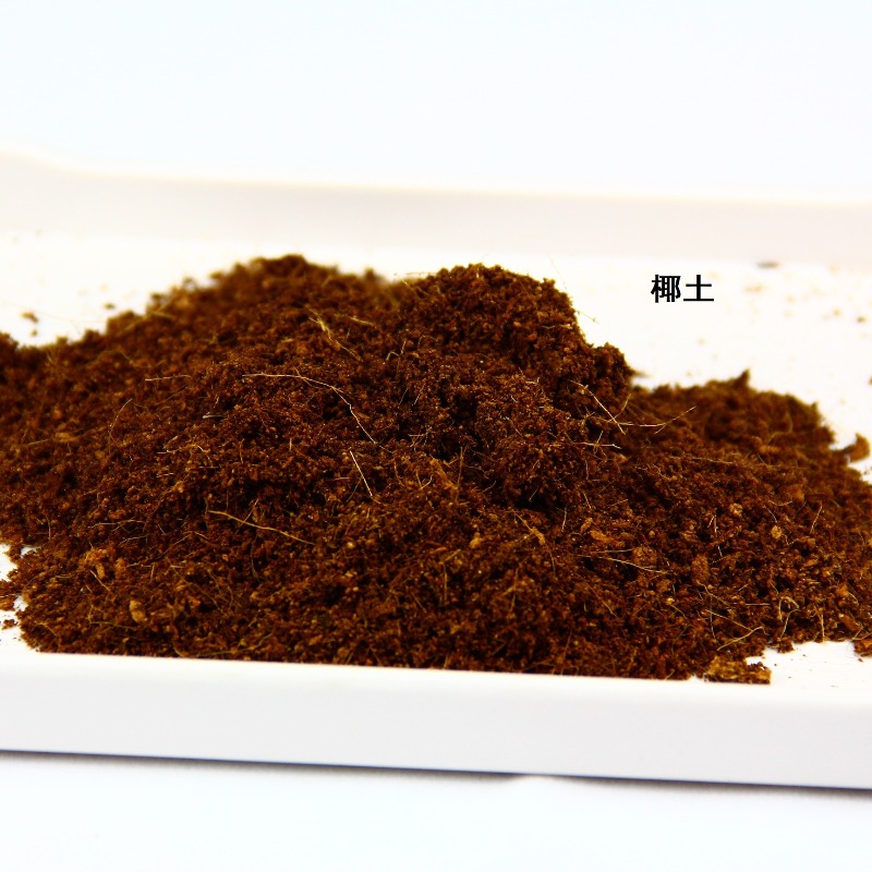 Coconut Soil Brick Reptile Sub - Sphagnum Moss Dry 评论和价格