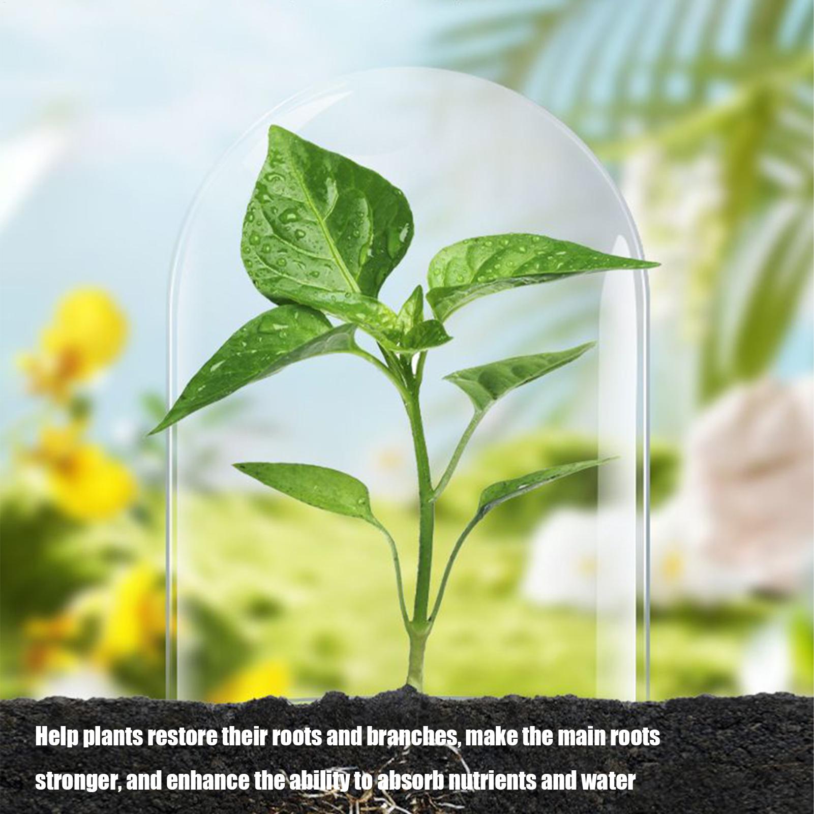 Root Stimulator for Plants Liq - Root Stimulator Liquid 评论和价格