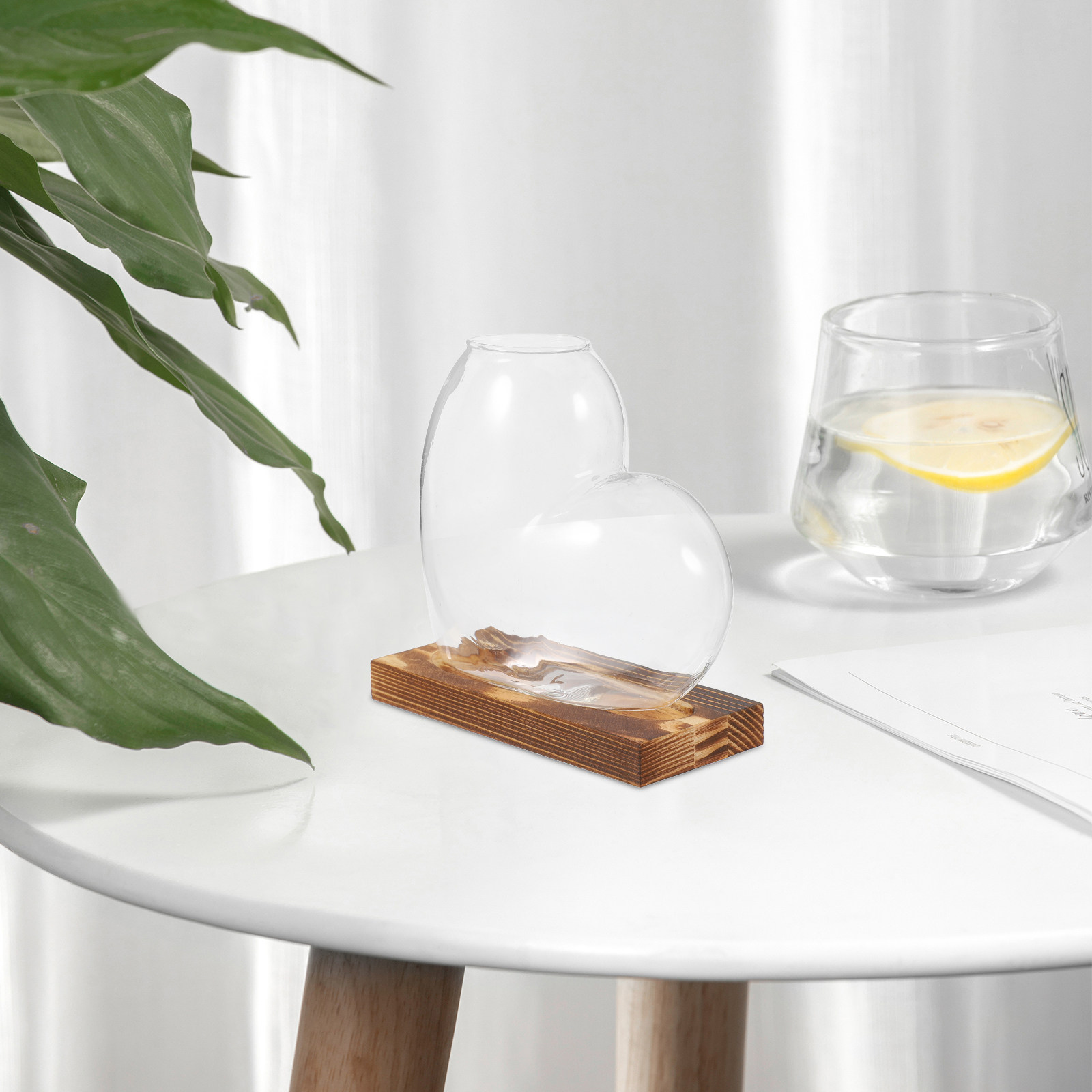 Hydroponic Glass Vase Transpar - Propagation Station Vase 评论和价格