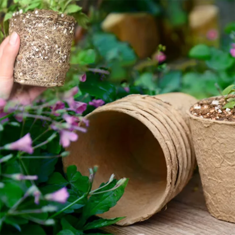 50 Pcs  Garden Round Peat Pots - Peat Pellet Tray 评论和价格