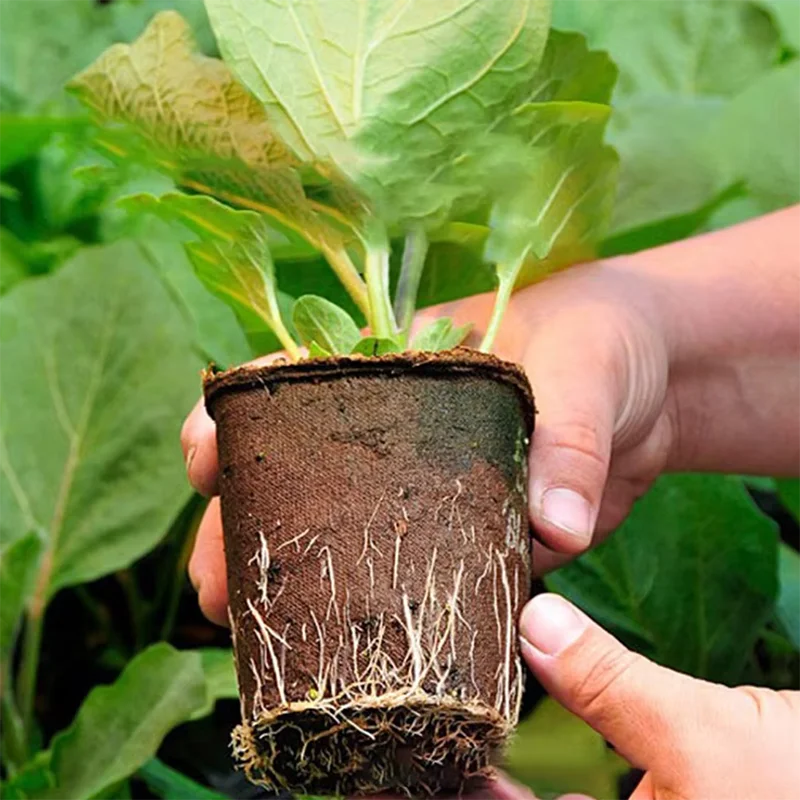 50 Pcs  Garden Round Peat Pots - Peat Pellet Tray 评论和价格
